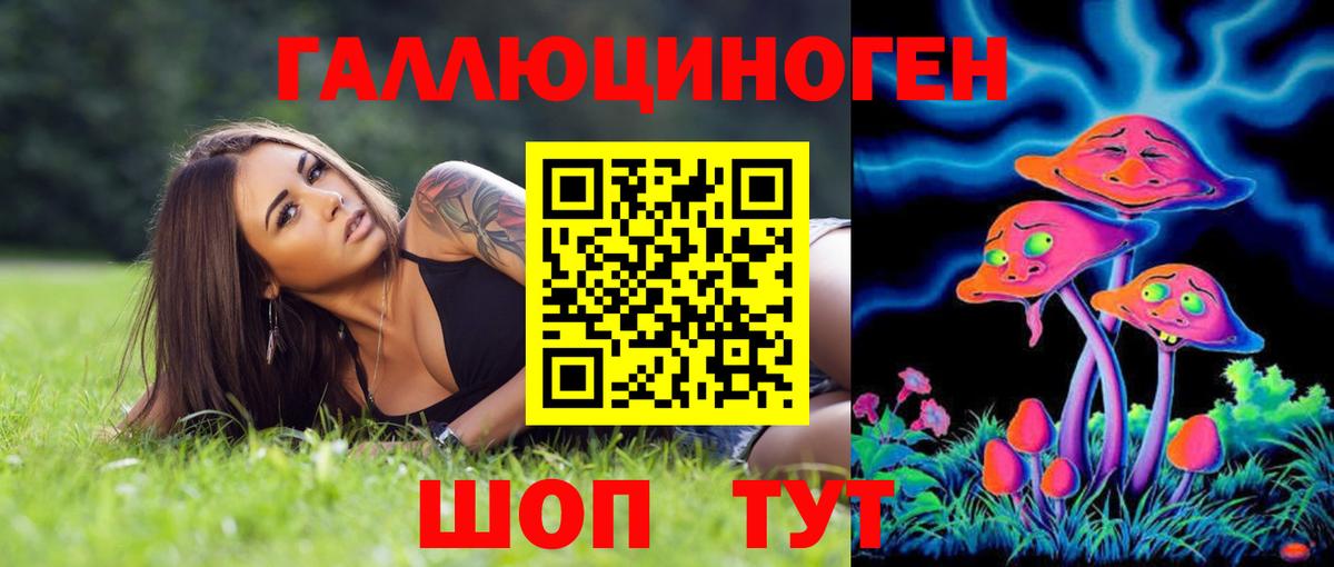 Галлюциногенные грибы MAGIC MUSHROOMS  Вход с VPN  Будённовск  Псилоцибиновые грибы прущие грибы 